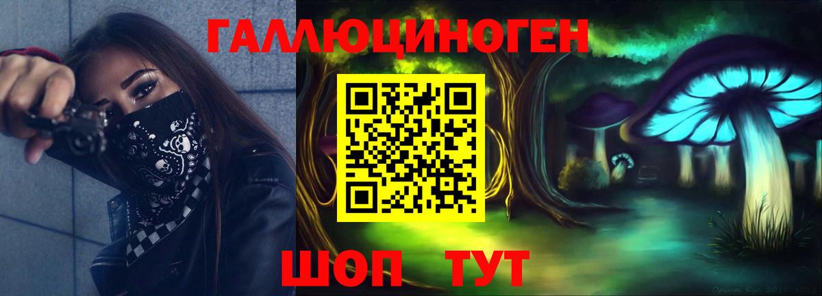 Галлюциногенные грибы Psilocybe  где найти   Тольятти  Галлюциногенные грибы Psilocybe  Вход с VPN 